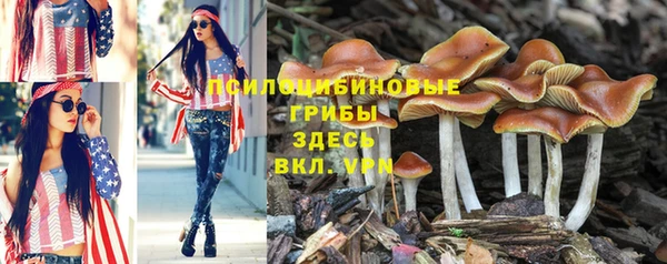 2c-b Абинск