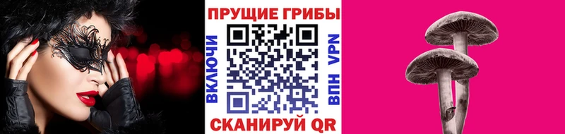 купить наркоту  Урус-Мартан  Псилоцибиновые грибы Magic Shrooms 