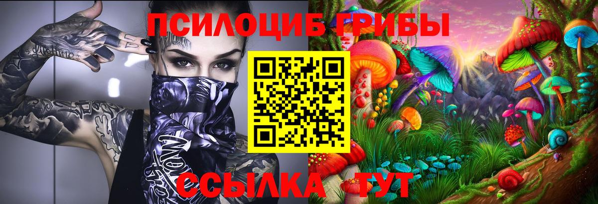 Урус-Мартан  Псилоцибиновые грибы ЛСД  Вход с VPN 