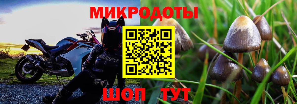 Псилоцибиновые грибы GOLDEN TEACHER Урус-Мартан